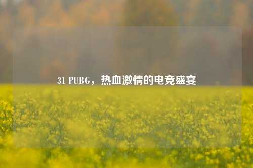 31 PUBG，热血激情的电竞盛宴