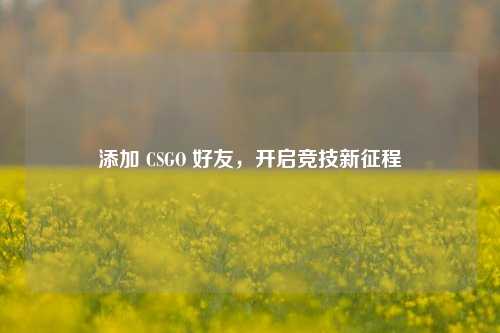添加 CSGO 好友，开启竞技新征程