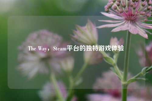 The Way,Steam平台的独特游戏体验