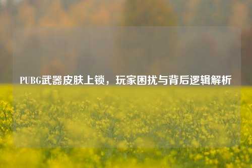 PUBG武器皮肤上锁，玩家困扰与背后逻辑解析