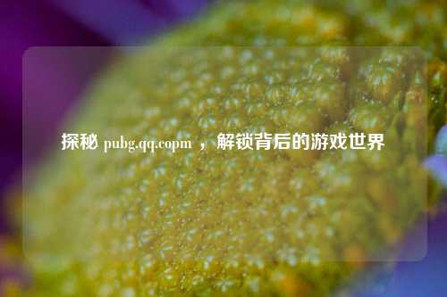 探秘 pubg.qq.copm ，解锁背后的游戏世界