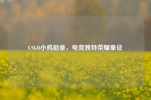CSGO小鸡勋章,电竞独特荣耀象征