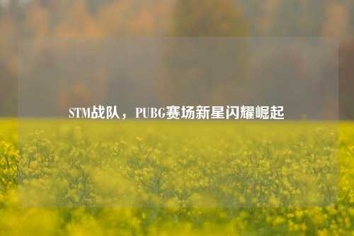 STM战队,PUBG赛场新星闪耀崛起