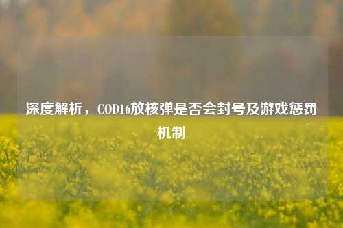 深度解析,COD16放核弹是否会封号及游戏惩罚机制