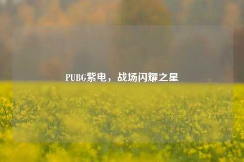 PUBG紫电，战场闪耀之星
