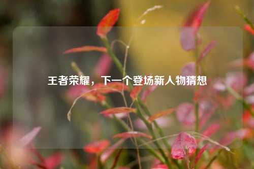 王者荣耀,下一个登场新人物猜想