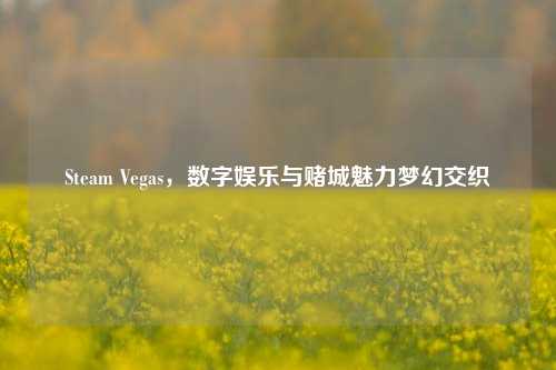 Steam Vegas，数字娱乐与赌城魅力梦幻交织