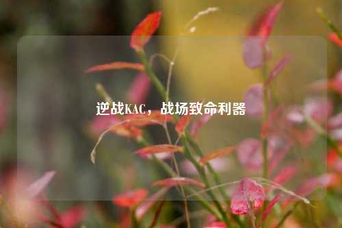 逆战KAC，战场致命利器