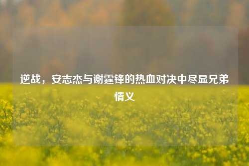 逆战,安志杰与谢霆锋的热血对决中尽显兄弟情义