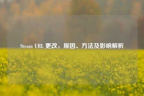 Steam URL 更改，原因、方法及影响解析