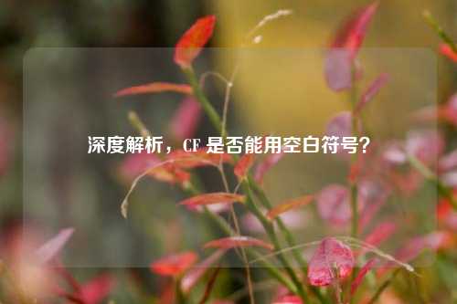 深度解析,CF 是否能用空白符号?