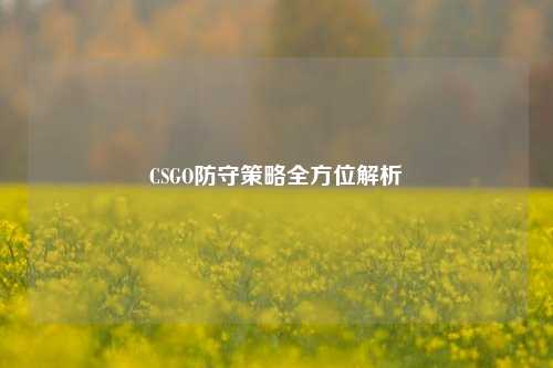CSGO防守策略全方位解析
