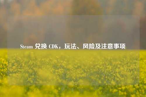 Steam 兑换 CDK,玩法、风险及注意事项