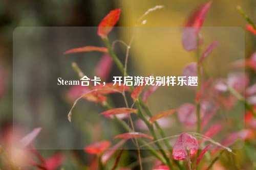 Steam合卡，开启游戏别样乐趣