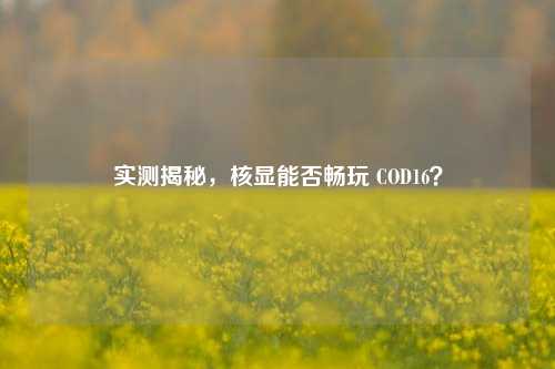 实测揭秘，核显能否畅玩 COD16？