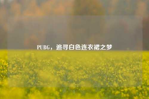 PUBG，追寻白色连衣裙之梦