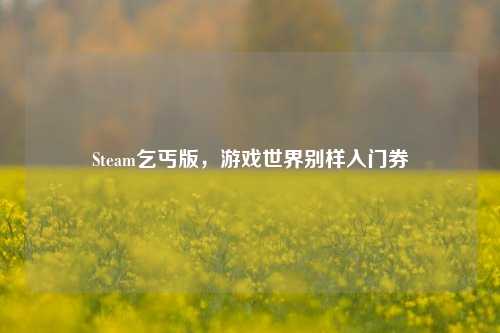 Steam乞丐版，游戏世界别样入门券