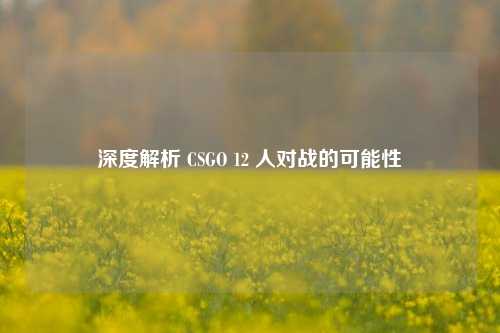 深度解析 CSGO 12 人对战的可能性