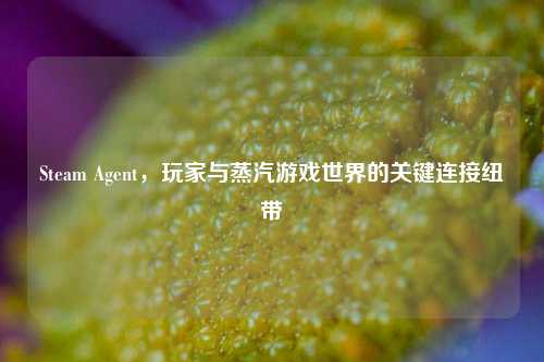 Steam Agent，玩家与蒸汽游戏世界的关键连接纽带
