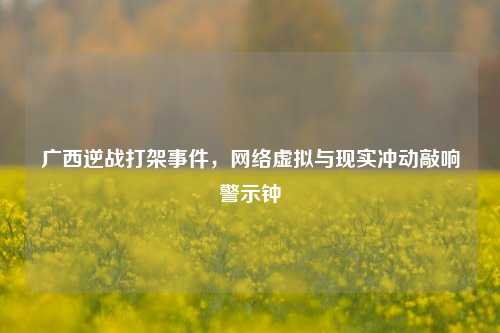 广西逆战打架事件,网络虚拟与现实冲动敲响警示钟
