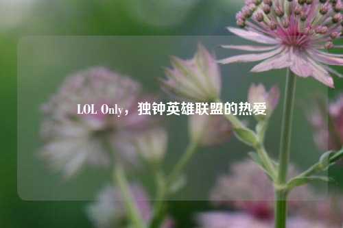 LOL Only,独钟英雄联盟的热爱