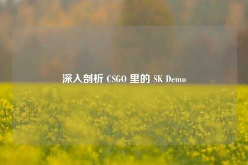 深入剖析 CSGO 里的 SK Demo