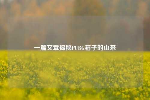 一篇文章揭秘PUBG箱子的由来
