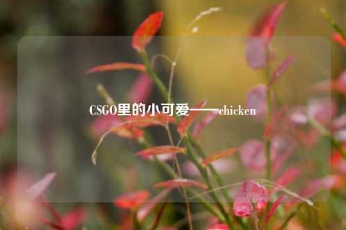 CSGO里的小可爱——chicken