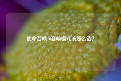 使命召唤16音响模式该怎么选？