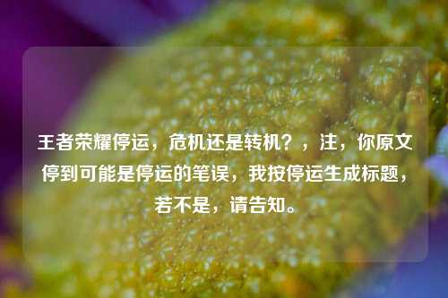 王者荣耀停运，危机还是转机？，注，你原文停到可能是停运的笔误，我按停运生成标题，若不是，请告知。