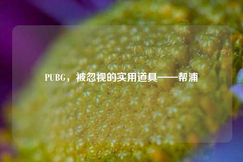 PUBG，被忽视的实用道具——帮浦