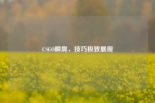CSGO瞬屏，技巧极致展现
