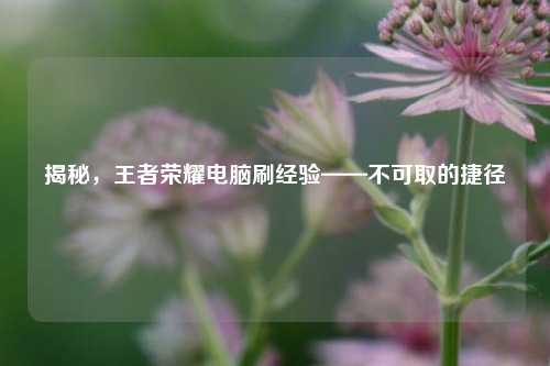 揭秘，王者荣耀电脑刷经验——不可取的捷径