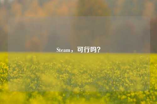 Steam，可行吗？