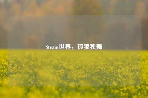 Steam世界，孤狼独舞