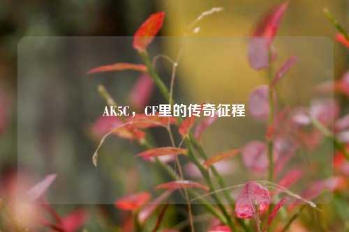 AK5C，CF里的传奇征程