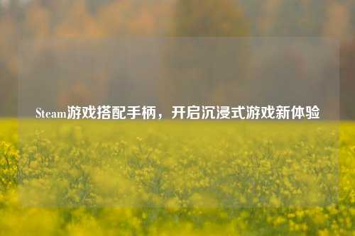Steam游戏搭配手柄，开启沉浸式游戏新体验