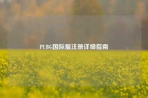PUBG国际服注册详细指南