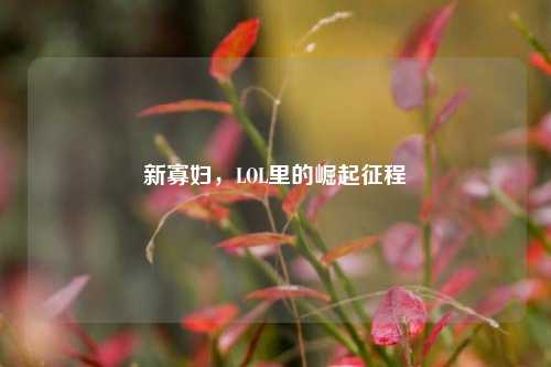 新寡妇,LOL里的崛起征程