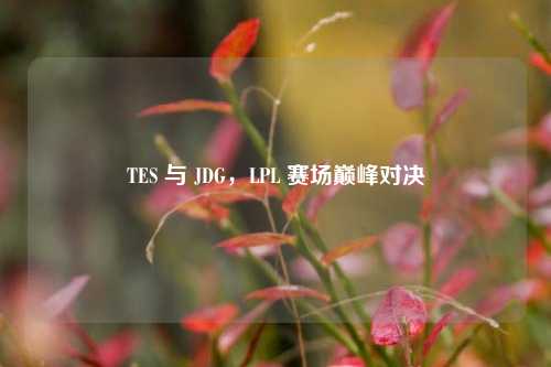 TES 与 JDG，LPL 赛场巅峰对决