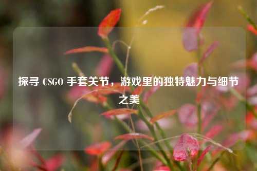探寻 CSGO 手套关节，游戏里的独特魅力与细节之美