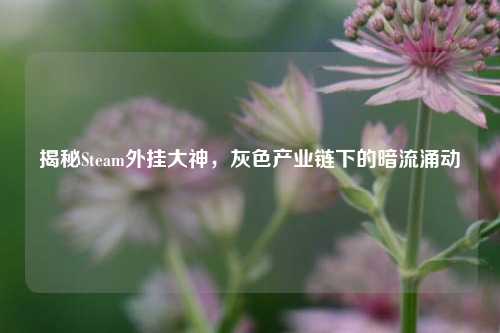 揭秘Steam外挂大神,灰色产业链下的暗流涌动