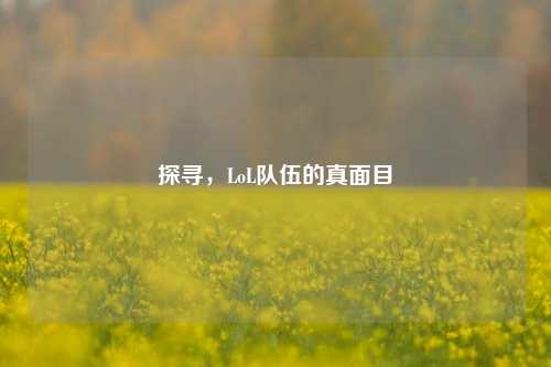 探寻，LoL队伍的真面目