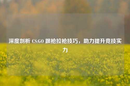 深度剖析 CS:GO 跟枪拉枪技巧，助力提升竞技实力