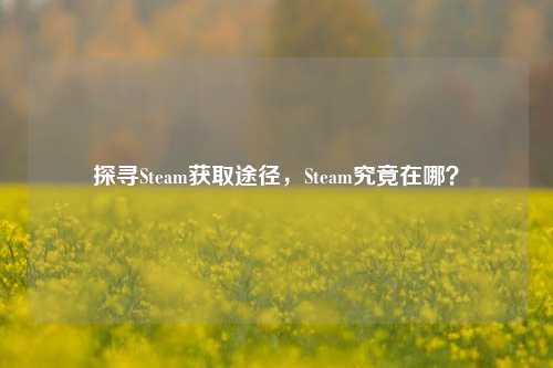 探寻Steam获取途径，Steam究竟在哪？