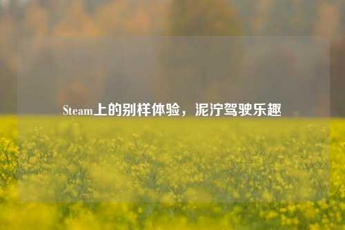 Steam上的别样体验，泥泞驾驶乐趣
