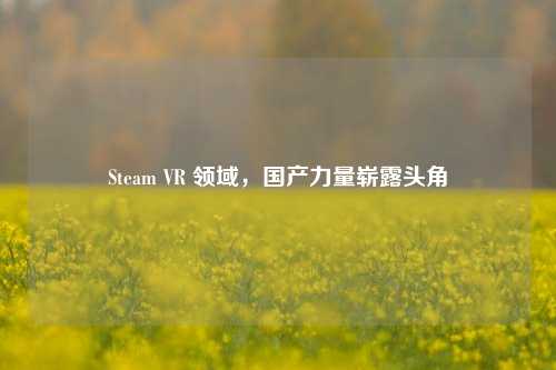 Steam VR 领域,国产力量崭露头角