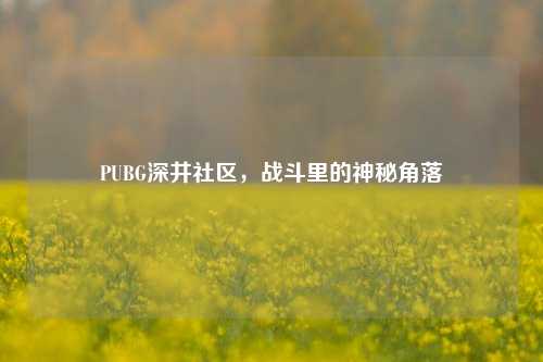 PUBG深井社区，战斗里的神秘角落