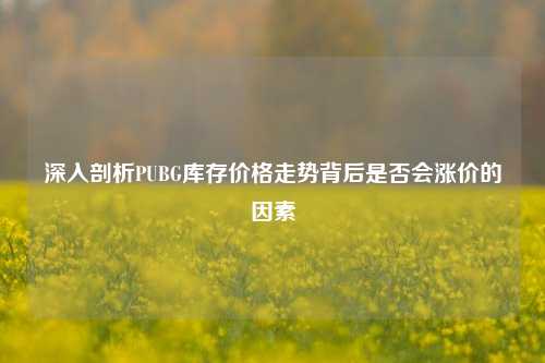 深入剖析PUBG库存价格走势背后是否会涨价的因素