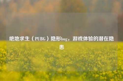 绝地求生（PUBG）隐形bug，游戏体验的潜在隐患
